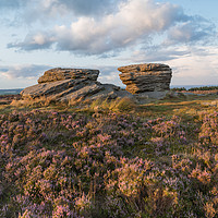 Buy canvas prints of Burbage Rocks Heather by James Grant