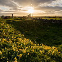 Buy canvas prints of Magpie Mine Cowslips by James Grant