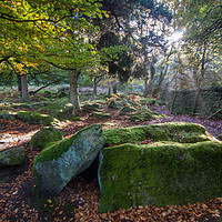 Buy canvas prints of Padley Gorge Mist by James Grant