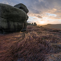 Buy canvas prints of Wool Packs Sunset by James Grant