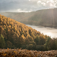 Buy canvas prints of Abbey Bank Autumn  by James Grant