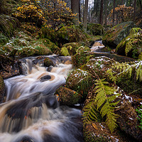 Buy canvas prints of Wyming Brook Autumn Snow  by James Grant