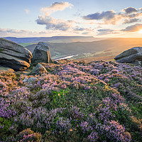 Buy canvas prints of White Tor Heather Sunset by James Grant