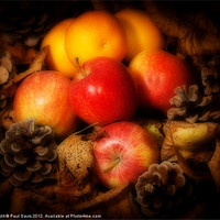 Buy canvas prints of Apples and Oranges by Paul Davis
