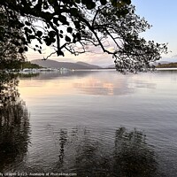Buy canvas prints of Loch Lomond through the trees by kelly Draper