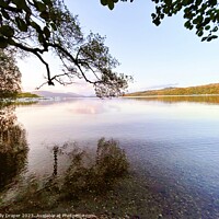Buy canvas prints of Loch Lomond View From Under The Tree by kelly Draper