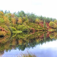 Buy canvas prints of Autumn reflections by kelly Draper