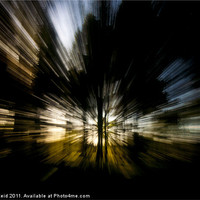 Buy canvas prints of Tree Abstract zoom burst by Stuart Reid
