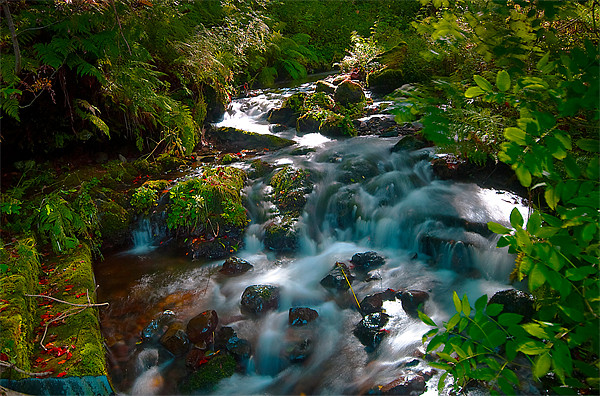 Serene Woodland Waterfall Picture Board by Stuart Jack