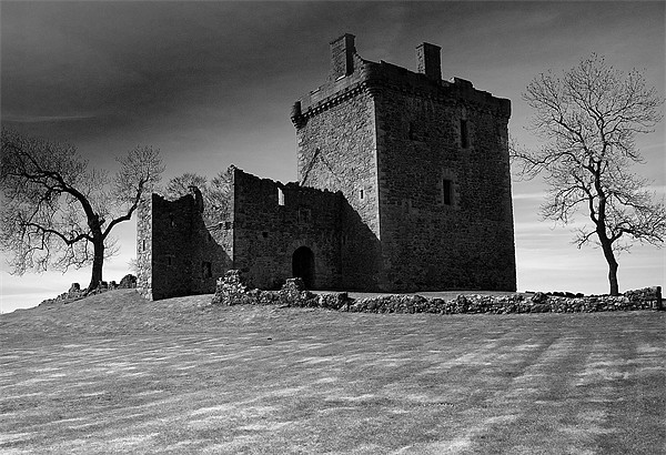 Ruins of Balvaird Castle Picture Board by Stuart Jack