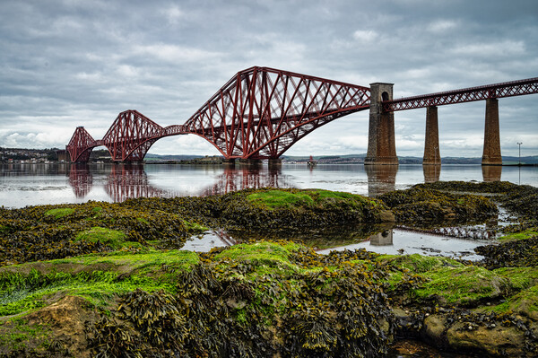 Spanning the Forth Estuary Picture Board by Stuart Jack