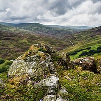 Buy canvas prints of Heather Hillside in Scotland by Stuart Jack