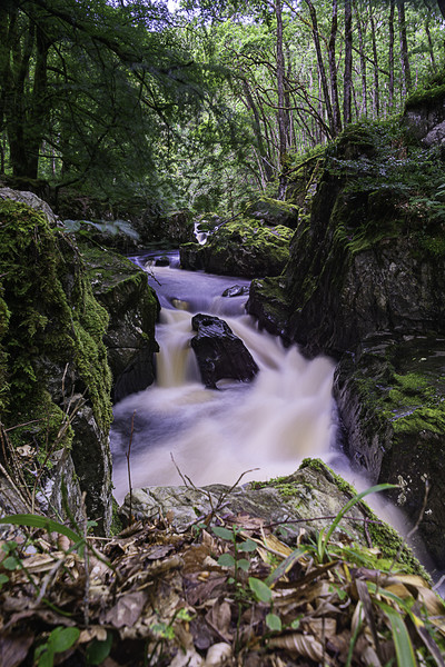 Enchanting Waterfall in Scotland Picture Board by Stuart Jack