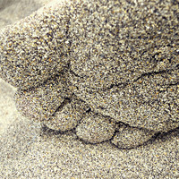 Buy canvas prints of sand between the toes by Heather Newton