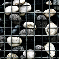 Buy canvas prints of cage of stones by Heather Newton