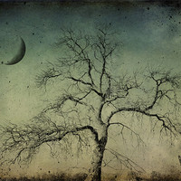 Buy canvas prints of beneath a dark moon by Heather Newton