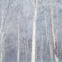 Buy canvas prints of enchanted forest (blue) by Heather Newton