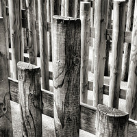 Buy canvas prints of black and white fencing by Heather Newton