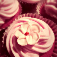 Buy canvas prints of pink cupcakes by Heather Newton
