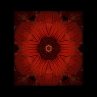 Buy canvas prints of red kaleidoscope by Heather Newton