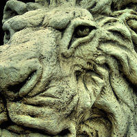 Buy canvas prints of stone lion by Heather Newton
