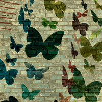 Buy canvas prints of butterflies and bricks by Heather Newton