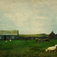 Buy canvas prints of Shetland landscape by Heather Newton