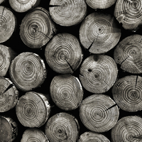 Buy canvas prints of logs by Heather Newton