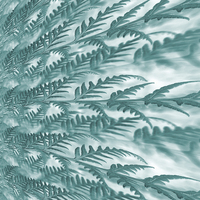 Buy canvas prints of frosted fern by Heather Newton