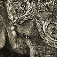Buy canvas prints of carved elephant by Heather Newton