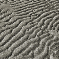 Buy canvas prints of  monochrome beach by Heather Newton