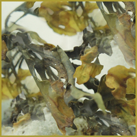 Buy canvas prints of abstract seaweed  by Heather Newton