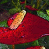 Buy canvas prints of red anthuriums by Heather Newton