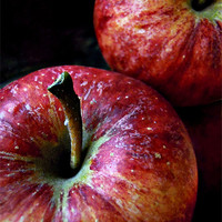 Buy canvas prints of apples by Heather Newton