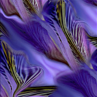 Buy canvas prints of iris sea by Heather Newton