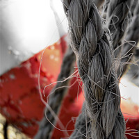 Buy canvas prints of old rope and lifebuoy by Heather Newton