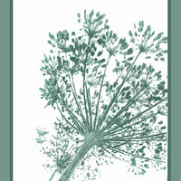 Buy canvas prints of anthriscus sylvestris by Heather Newton