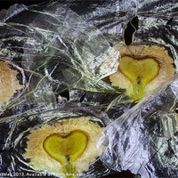 Buy canvas prints of heart shaped seeds by Craig Lapsley