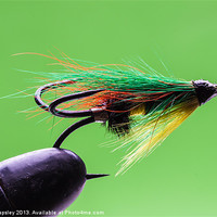 Buy canvas prints of Salmon fly in vice by Craig Lapsley
