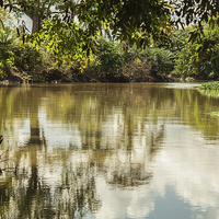 Buy canvas prints of sarapiqui river scene by Craig Lapsley