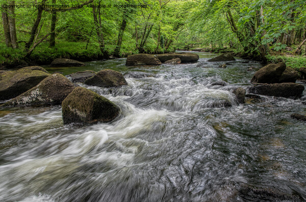 The River Teign Picture Board by Pete Hemington