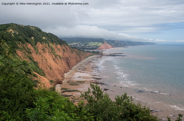 Sidmouth from Peak Hill Picture Board by Pete Hemington