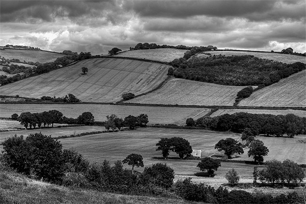 The Exe Valley Picture Board by Pete Hemington