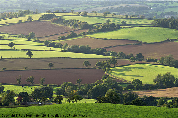 Mid Devon fields Picture Board by Pete Hemington