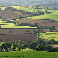 Buy canvas prints of Mid Devon fields by Pete Hemington