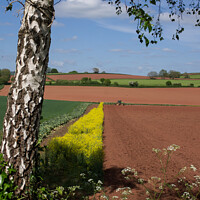 Buy canvas prints of Rural Mid Devon farmland by Pete Hemington