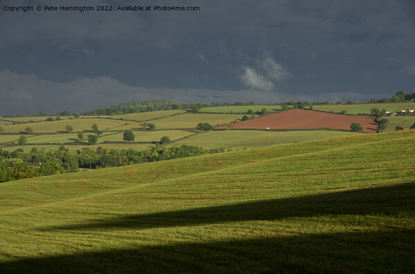 Rural Mid Devon Picture Board by Pete Hemington