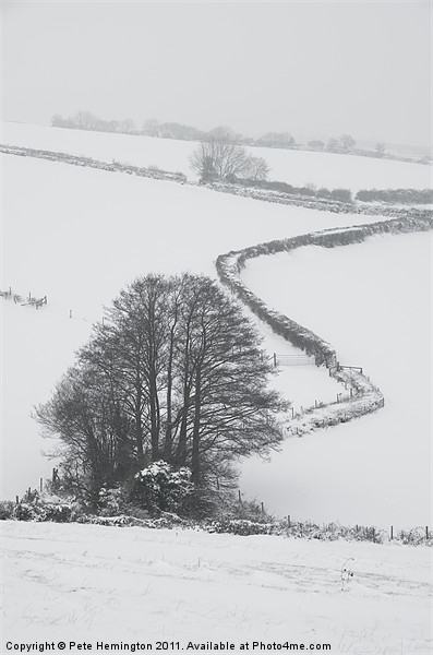 Winter scene Picture Board by Pete Hemington