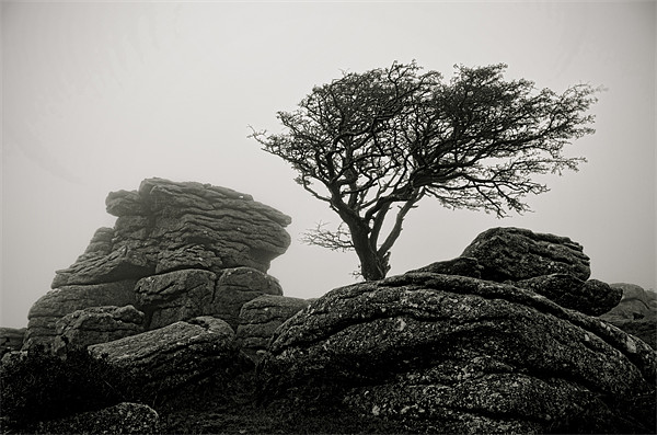 Holwell Tor in the Mist Picture Board by Pete Hemington