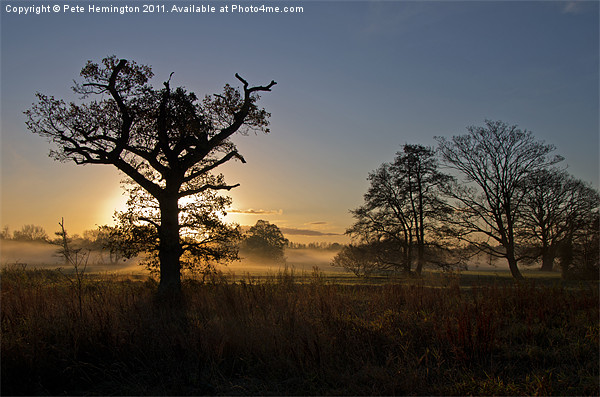 Sunrise in the Culm Valley Picture Board by Pete Hemington
